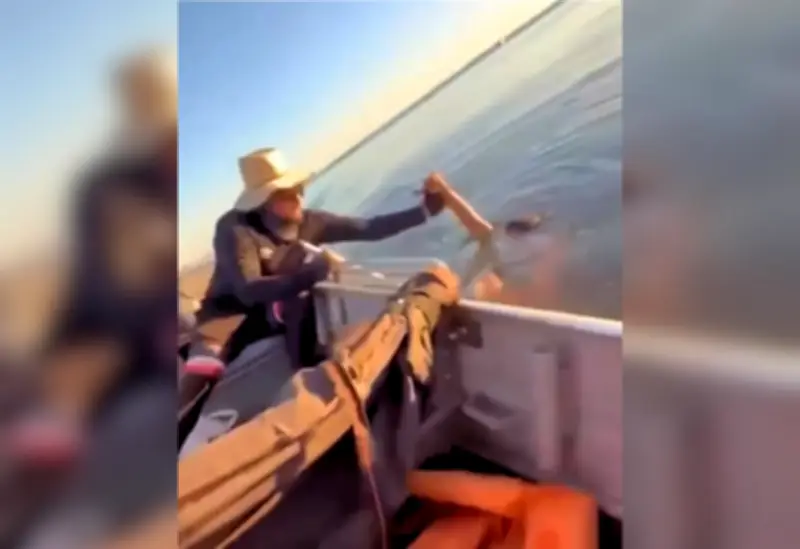 Pescadores resgatam jovem de afogamento em lago de Palmas