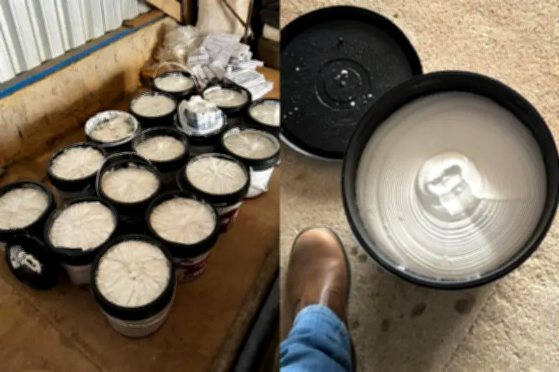 PF apreende 62 kg de cocaína em baldes de massa corrida em RO