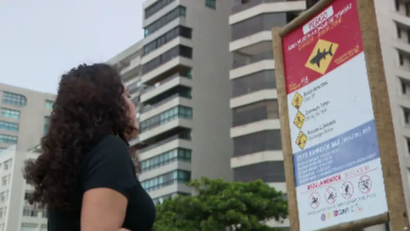 Placas de alerta de tubarão sofrem vandalismo em Pernambuco