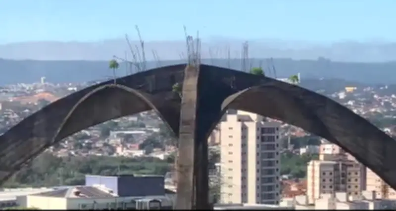 Plantas brotam em estrutura de concreto e viram atração em Sorocaba