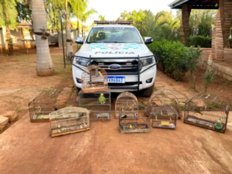 PM Ambiental apreende nove aves e multa homem em R$ 30,5 mil em Hortolândia