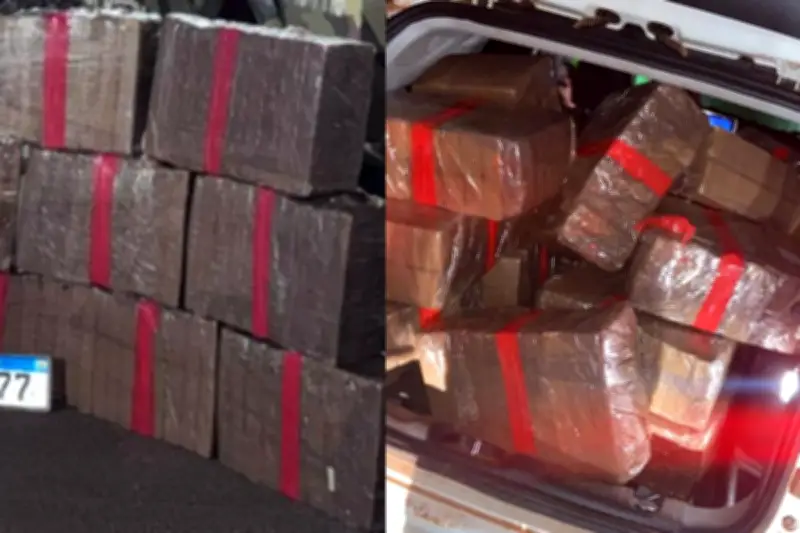 PM apreende 550 kg de maconha e prende dois homens na BR-158 em MT