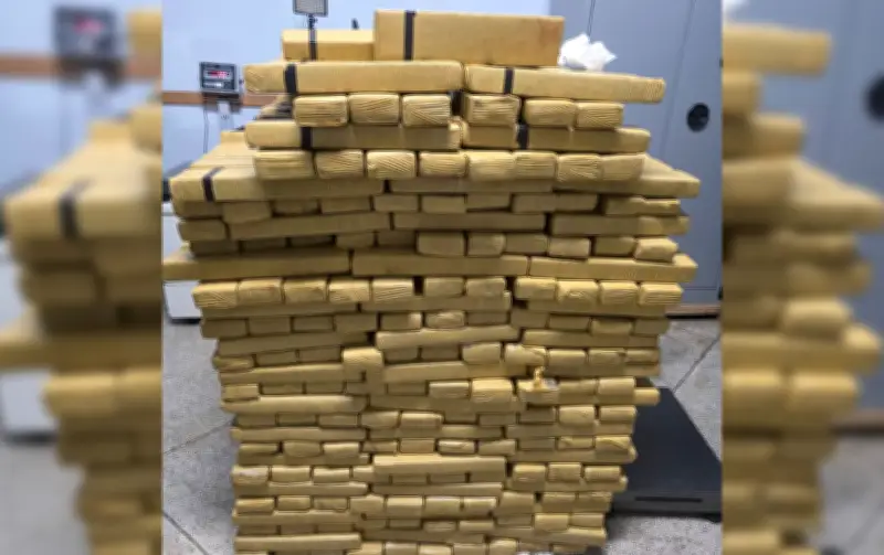 PM apreende 587 kg de maconha em chácara e prende jovem em Presidente Prudente