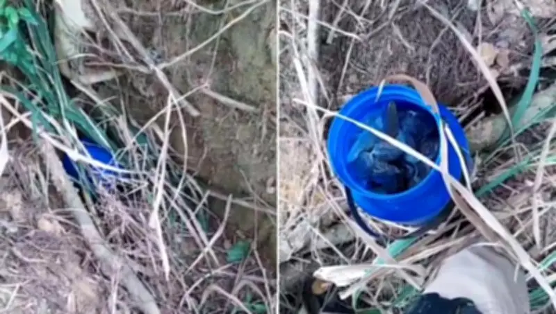 Polícia acha drogas na raiz de árvore e prende três por tráfico em Itabirinha