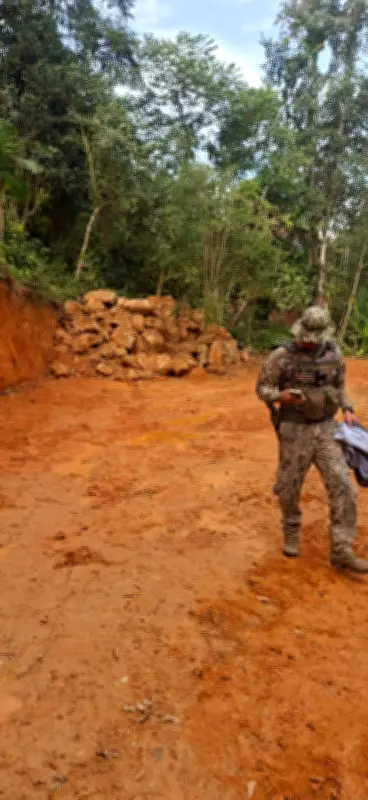 Polícia Ambiental flagra degradação em área de preservação em Paraty