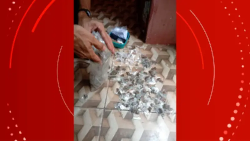 Polícia prende suspeito de tráfico e apreende 241 porções de drogas em Santana