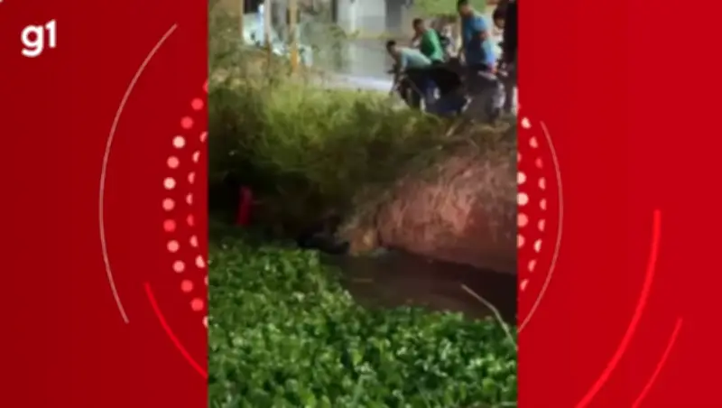 Policial de folga salva casal que caiu em lagoa durante temporal em Montes Claros