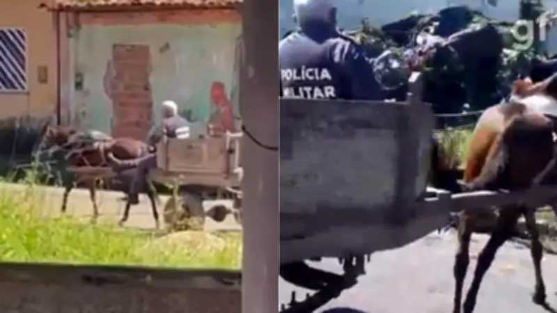 Policial leva jumento à delegacia após prisão de carroceiro no MA
