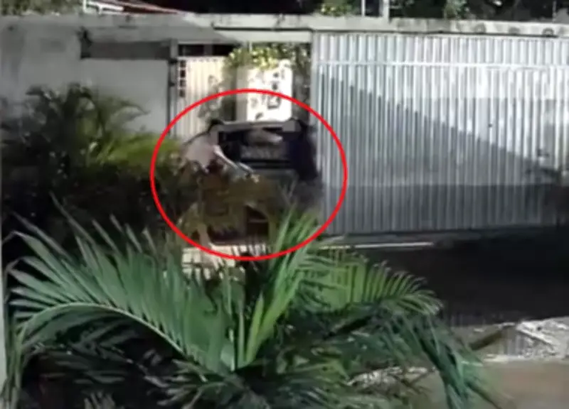 Presa PM que atirou em madrasta por causa de pão de queijo em Boa Vista