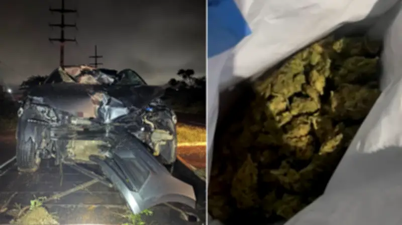 PRF apreende 4 kg de skunk após acidente em Arcoverde, PE