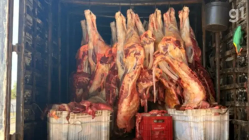 PRF apreende 5,7 toneladas de carne irregular em Balsas, MA