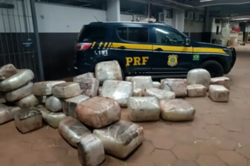 PRF apreende 583 kg de drogas em caminhão na BR-262 em Miranda