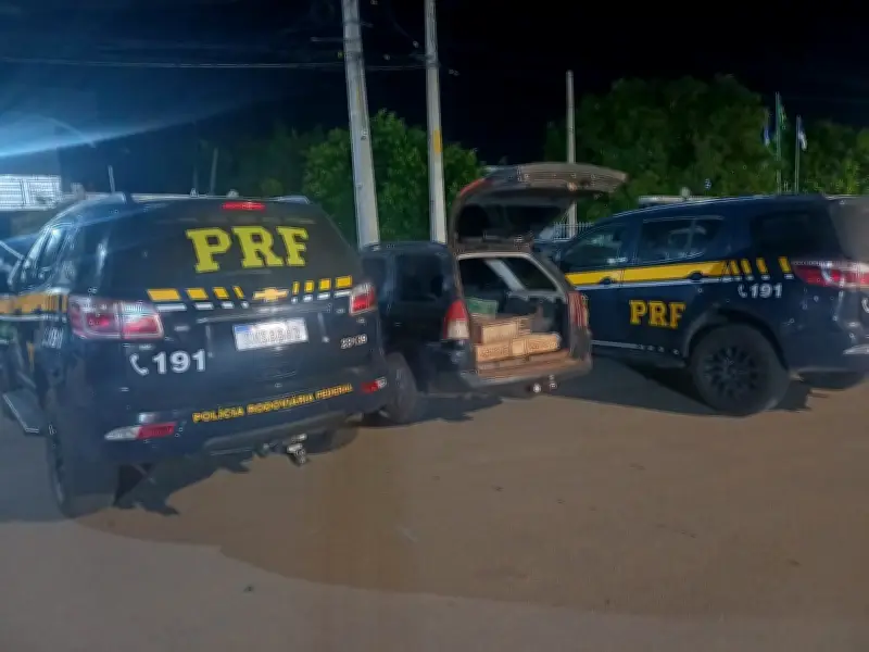 PRF resgata cerca de 250 pássaros silvestres em Parnamirim