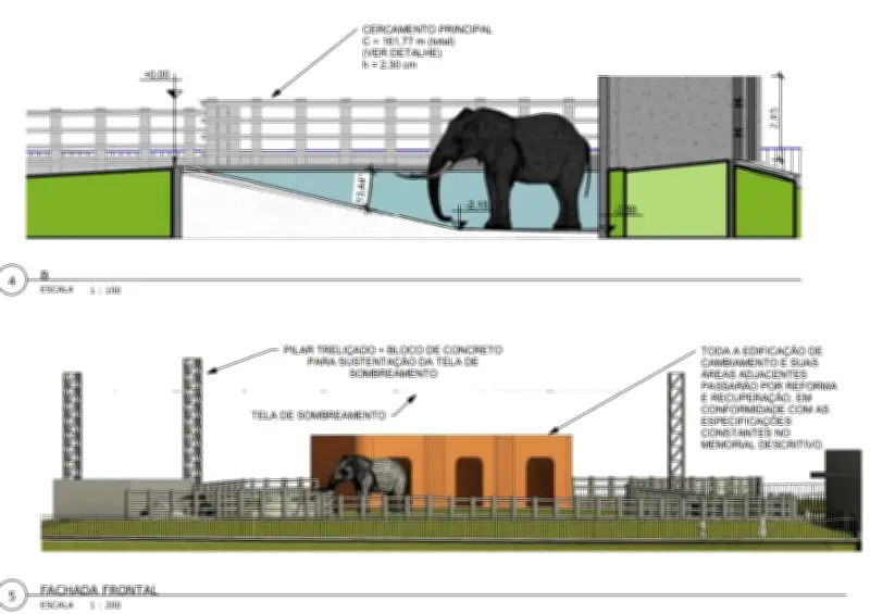 Projeto de R$ 3,1 mi para recinto do elefante Sandro levou 3 anos