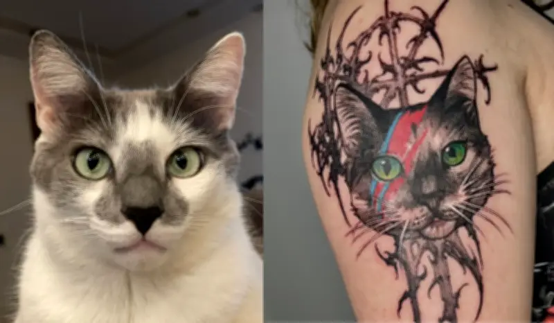 Psicóloga tatua cinzas do gato Bowie em homenagem eterna