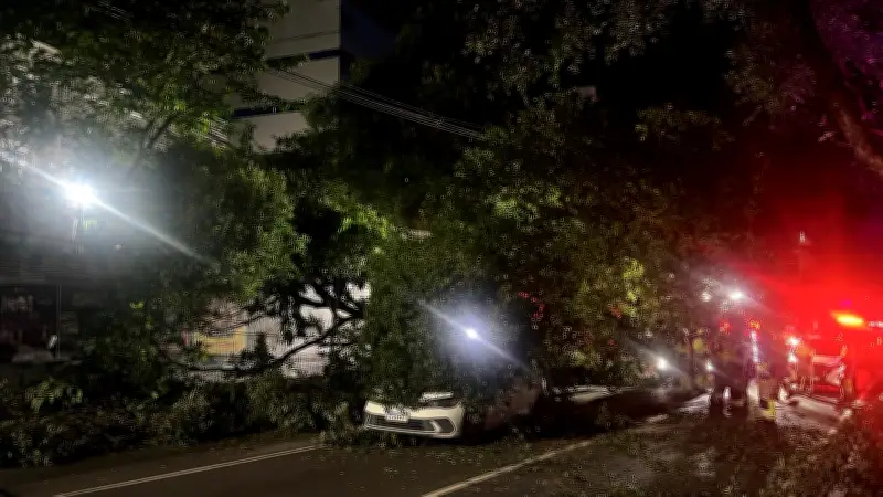 Queda de árvore atinge dois carros e interdita avenida no Centro de Manaus
