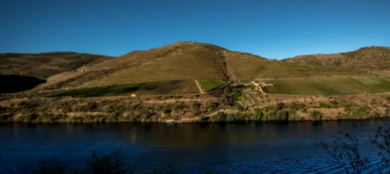 Quinta do Vallado: tradição e vinhos inovadores do Douro
