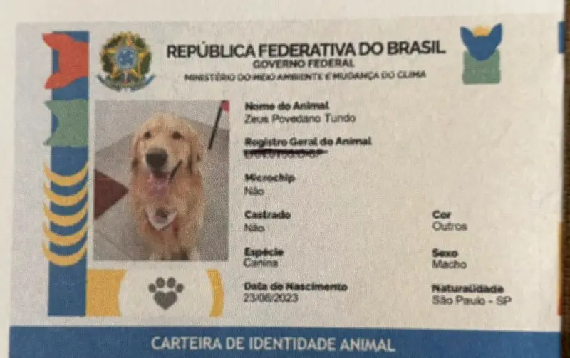 RG Pet: cadastro nacional com QR Code ajuda a localizar animais perdidos