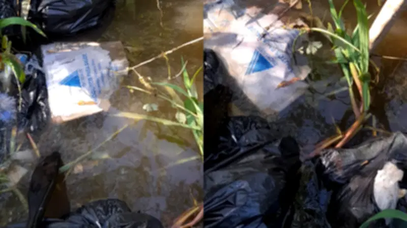 Ribeirinhos denunciam descarte de lixo hospitalar no rio Tapará em Santarém