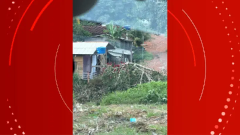 Árvore caída sobre fiação elétrica causa curtos e preocupa moradores em Macapá