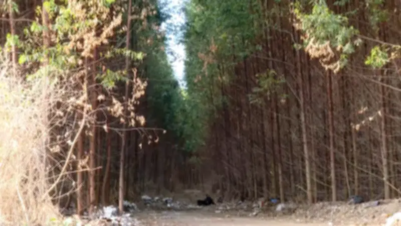 Segundo corpo é encontrado na Serra, ES, em dois dias