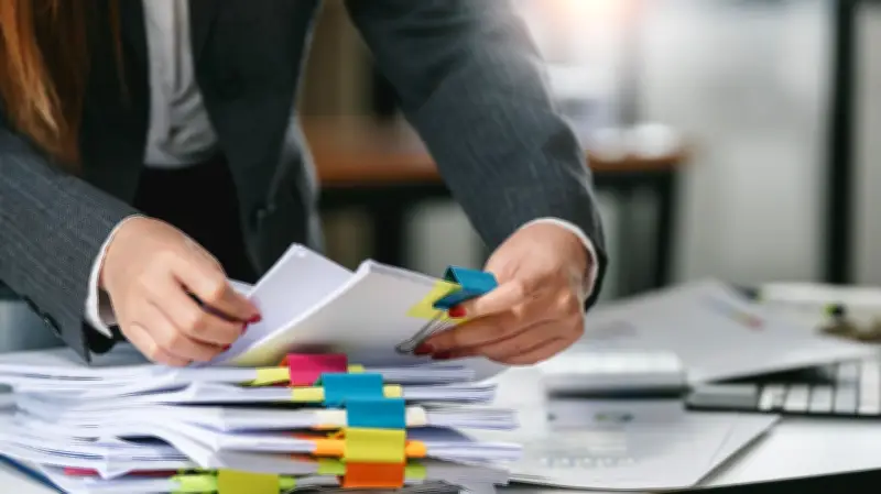 Seguro garantia fortalece empresas, contratos e projetos no Brasil