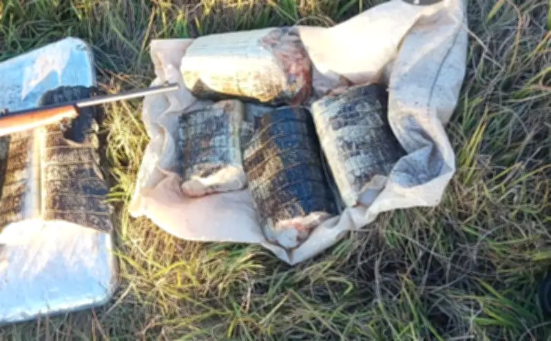 Sema apreende 17 kg de carne de jacaré e rifle em Poconé