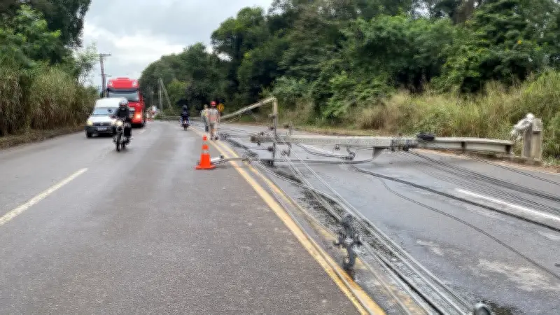 Sete postes caem na BR-458 em Ipatinga após queda de árvore