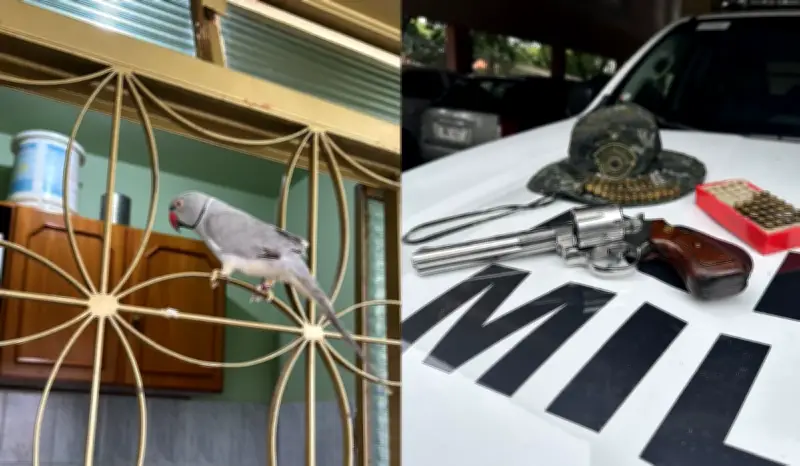 Sitiante preso por arma irregular e multado por ave exótica
