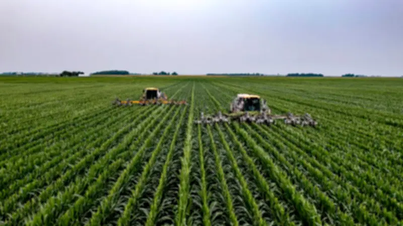 SLC Agrícola avalia compra de terras da Radar após venda de 12% do portfólio