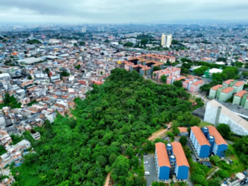 São Paulo perde área verde e busca reverter tendência com novos projetos