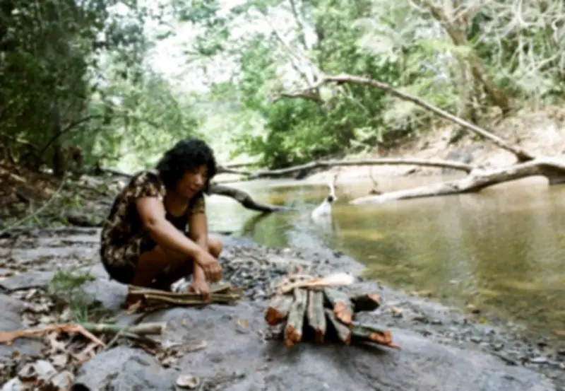 STF determina desintrusão da Terra Indígena Cachoeira Seca no Pará em 90 dias
