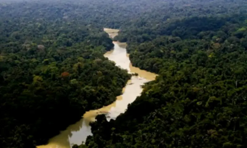 STF homologa plano de MT para acelerar regularização ambiental rural