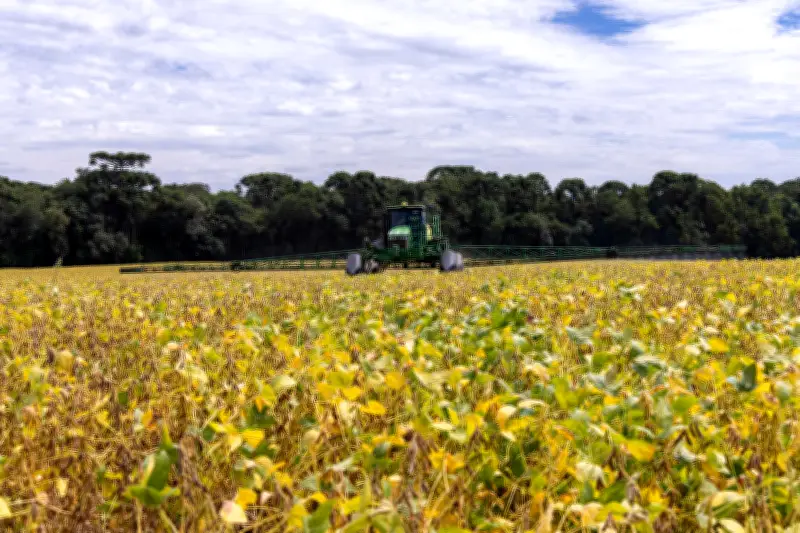 Super El Niño ameaça crédito rural e recuperação do agro