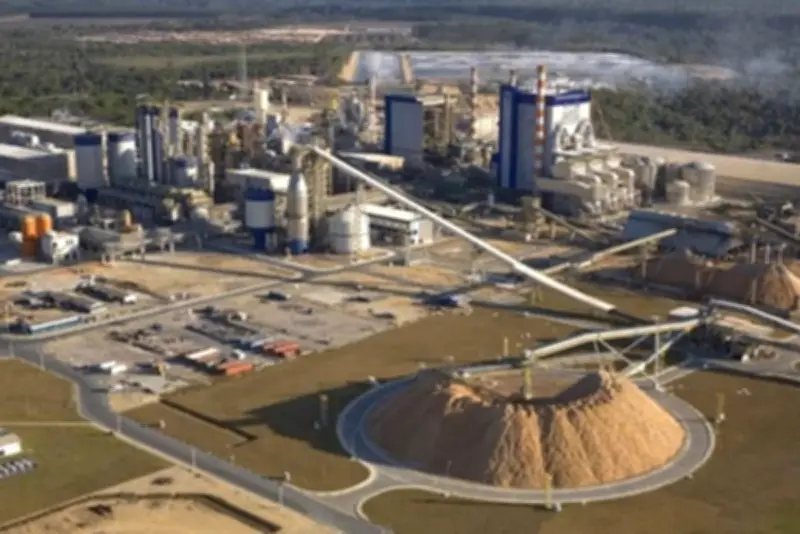 Suzano abre 6 vagas de emprego no extremo sul da Bahia