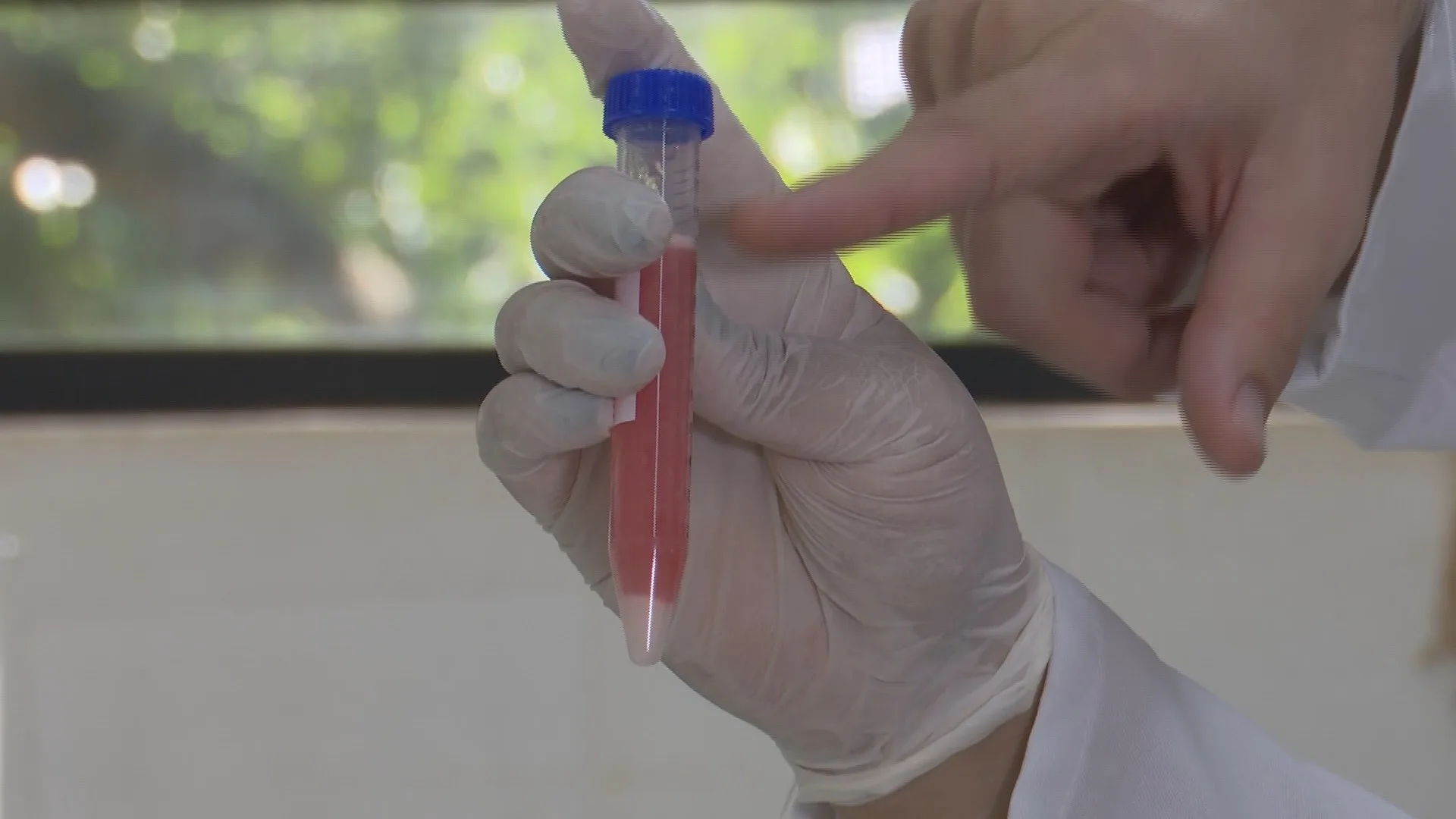 Tecnologia paranaense encapsula óxido nítrico para proteger lavouras do estresse ambiental