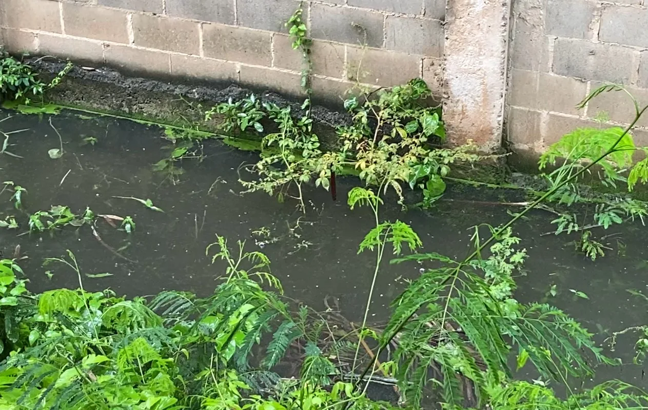Testes de fumaça da Mirante identificam ligações irregulares no esgoto em Piracicaba