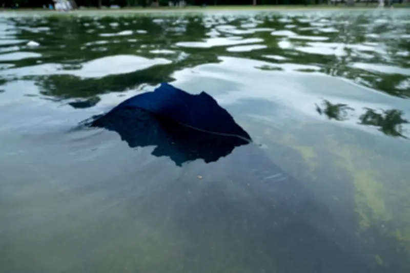 Tinta de piscina do Lincoln Memorial se solta após reforma de Trump