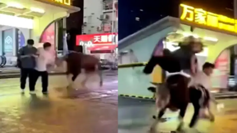 Touro foge de mercado na China, ataca pedestres e é abatido pela polícia