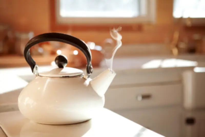 Três chás sem cafeína para preparar em casa: hibisco, amora e camomila