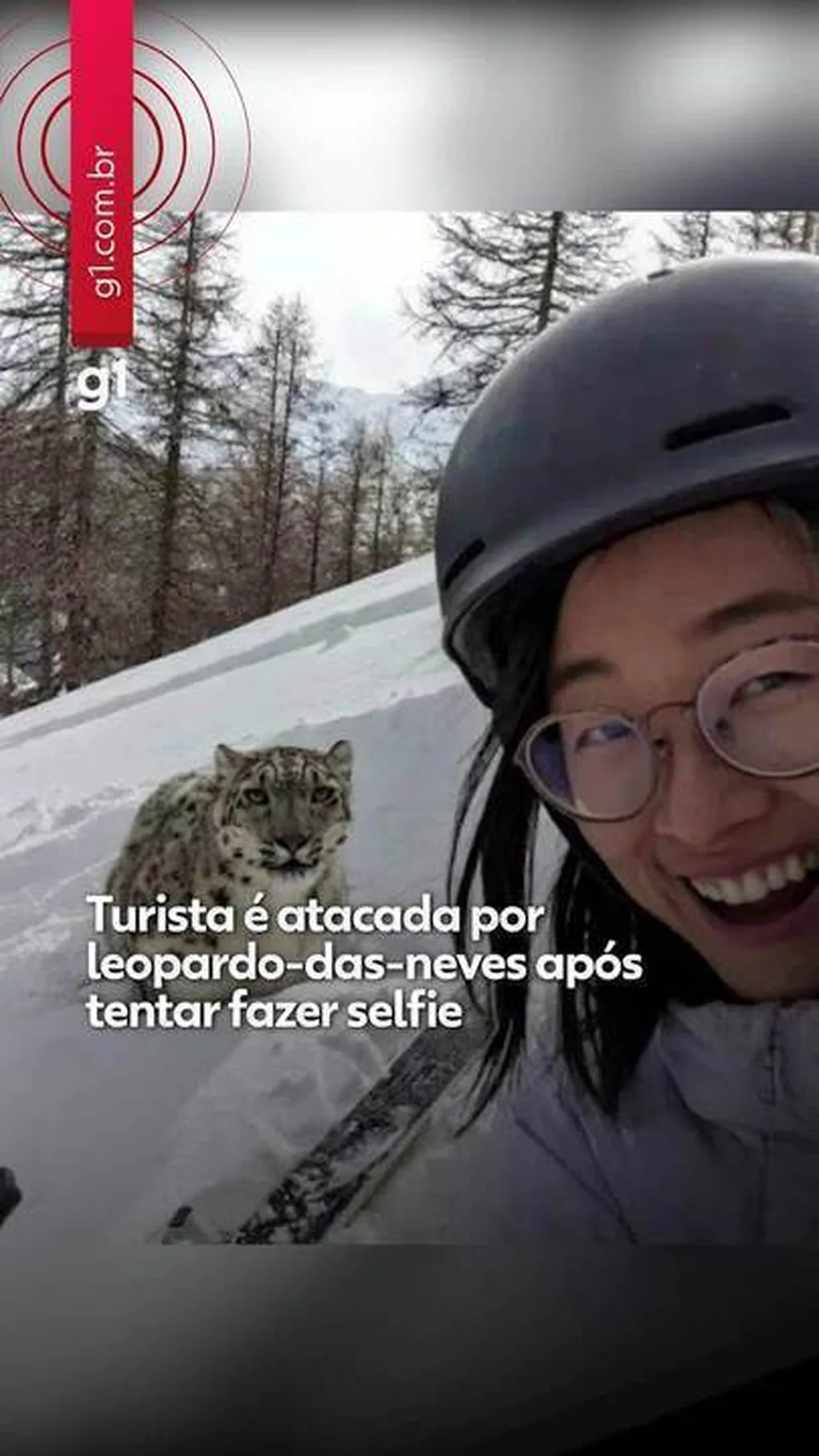 Turista é atacada por leopardo-das-neves ao tentar selfie em estação de esqui na China