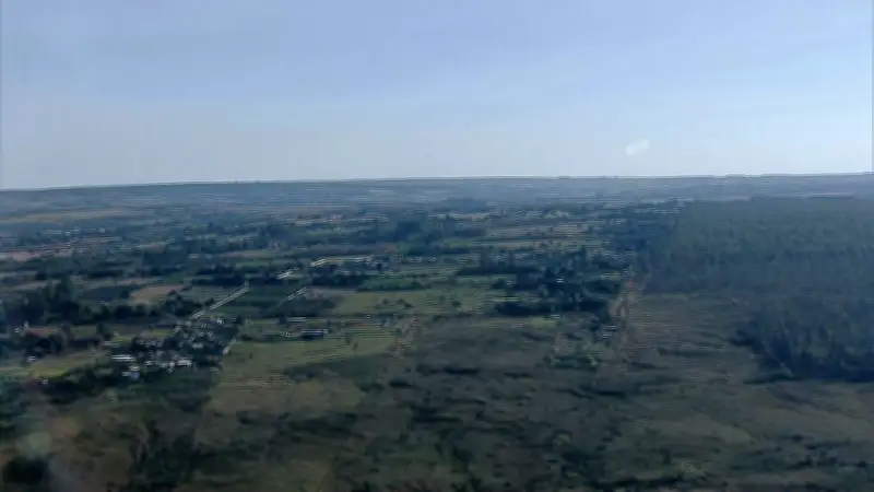 Turistas dos EUA são resgatados após se perderem na Floresta Nacional de Brasília