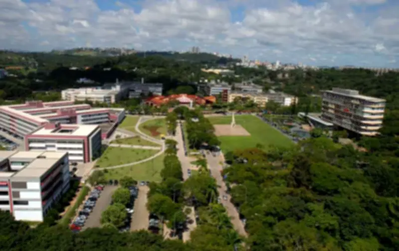 UFMG é a universidade com maior impacto em sustentabilidade da América do Sul