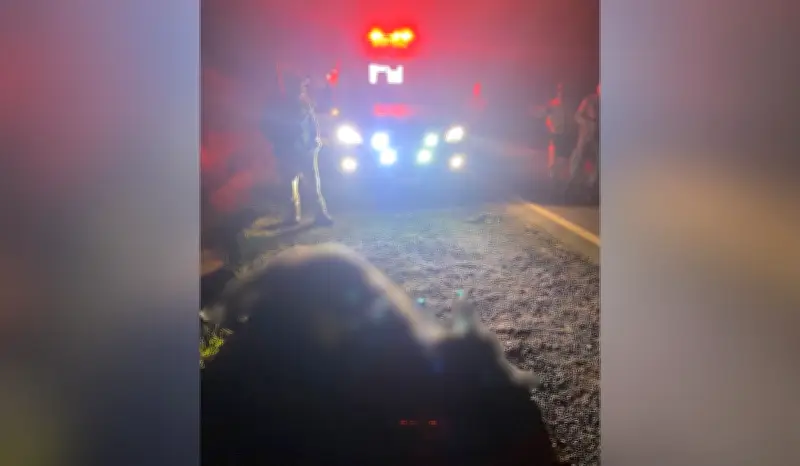 Vaca morre atropelada na Rodovia Euclides Figueiredo em Teodoro Sampaio