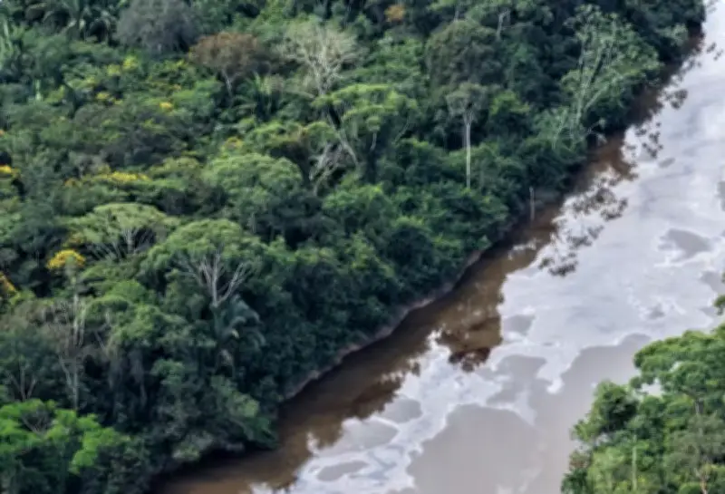 Vazamento de óleo no Rio Cupari ameaça Tapajós; ICMBio e Marinha agem