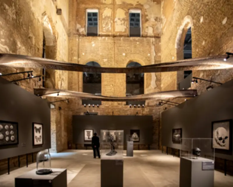 Vik Muniz expõe no Museu Nacional obras com resíduos do incêndio de 2018