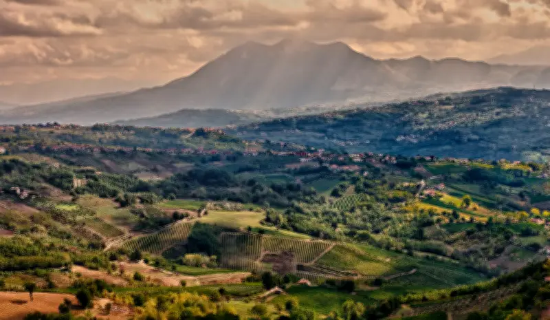 Vinhos de Abruzzo, Basilicata e Campânia: joias italianas subestimadas