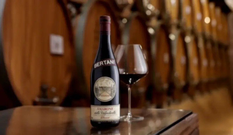 Vinhos de Meditação: O Melhor do Mundo Segundo James Suckling