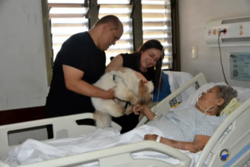Visita de cão a paciente idosa reduz estresse em hospital no TO