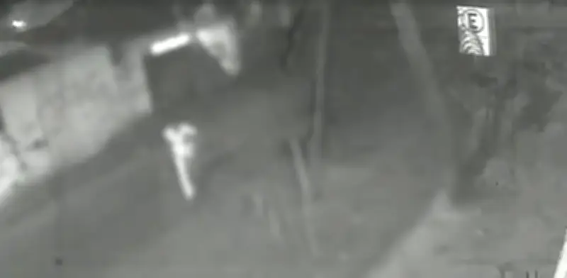Vândalos derrubam portão a chutes em BH; suspeita é de desafio na internet